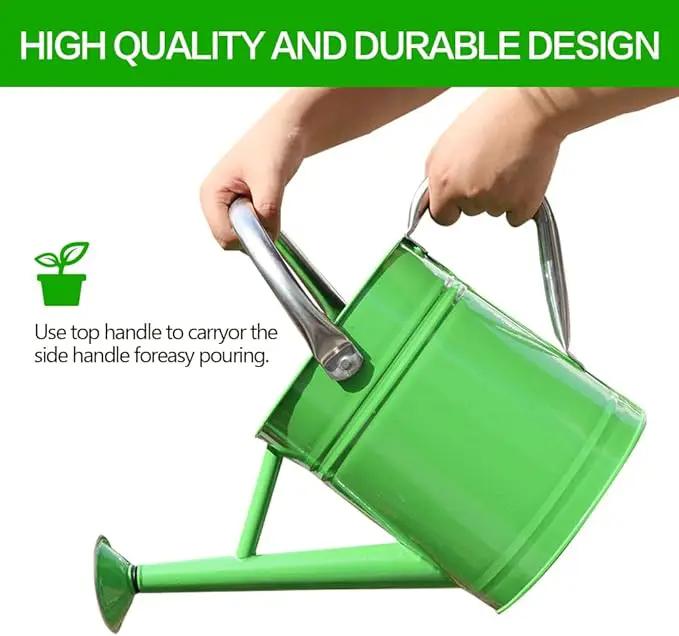 Metal Watering Can, One Gallon Watering Cans Stainless Steel for Outdoor Indoor Garden Plants Watering (Stainless Steel Handle Green) by GreenHaven Gardens