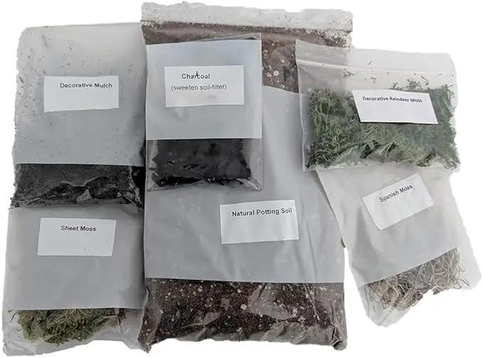 Hirt's Gardens Terrarium Kit - Create Your Own Living Terrarium by GreenHaven Gardens