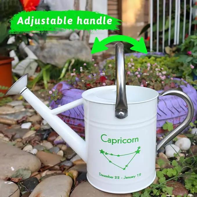 Metal Watering Can for Outdoor and Indoor Plants, Watering Can Decor, 1 Gallon (Capricorn) by GreenHaven Gardens
