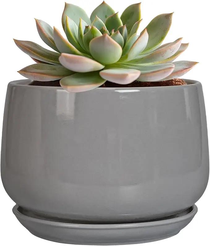 G EPGardening Ceramic Pot for Plants - Modern 6 Inch Round Planter Indoor with Drainage and Tray for Indoor Outdoor Flower, Patio Decor, Teacher Gifts, Grey by GreenHaven Gardens