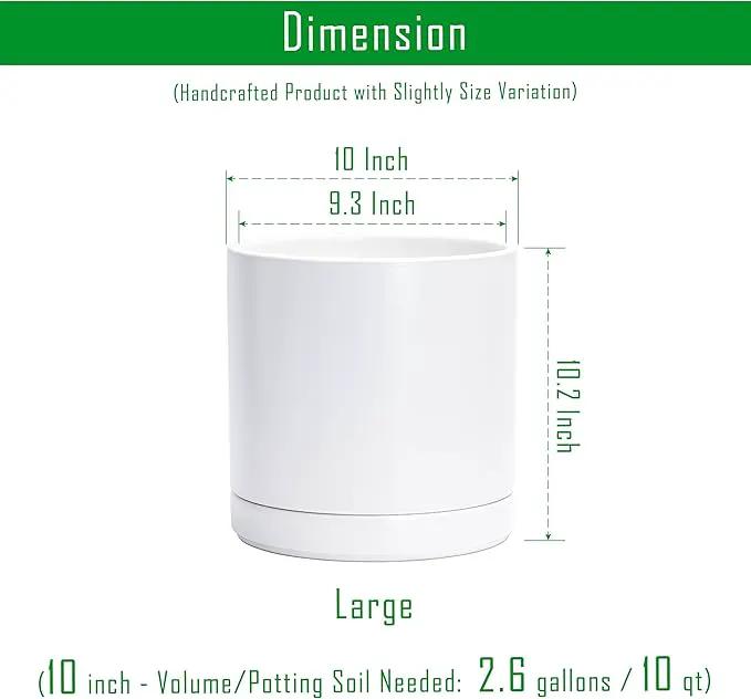 D'vine Dev 10 Inch Ceramic Planter Pot with Drainage Hole and Saucer, Indoor Cylinder Round Planter Pot, White, 94-O-E-1 by GreenHaven Gardens