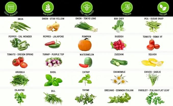 50 Vegetable & Herb Seeds Variety Pack - 25,000 Seeds - Long-Term Storage - Non-GMO Heirloom Open-Pollinated Gardening Seeds for Planting Vegetables & Herbs - Waterproof Packaging by GreenHaven Gardens
