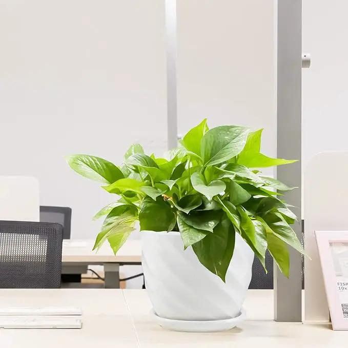 Plant Pots - 4.7 Inch Cylinder Ceramic Planters with Connected Saucer, Pots for Succuelnt and Little Snake Plants, Set of 4, White by GreenHaven Gardens