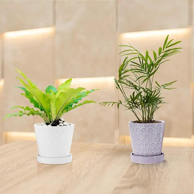 EFISPSS Flower Planter –5 inch Ceramic Plant Pots with Drainage Holes and Ceramic Tray - Gardening Home Desktop Office Windowsill Decoration Gift Set of 4 - Purple by GreenHaven Gardens
