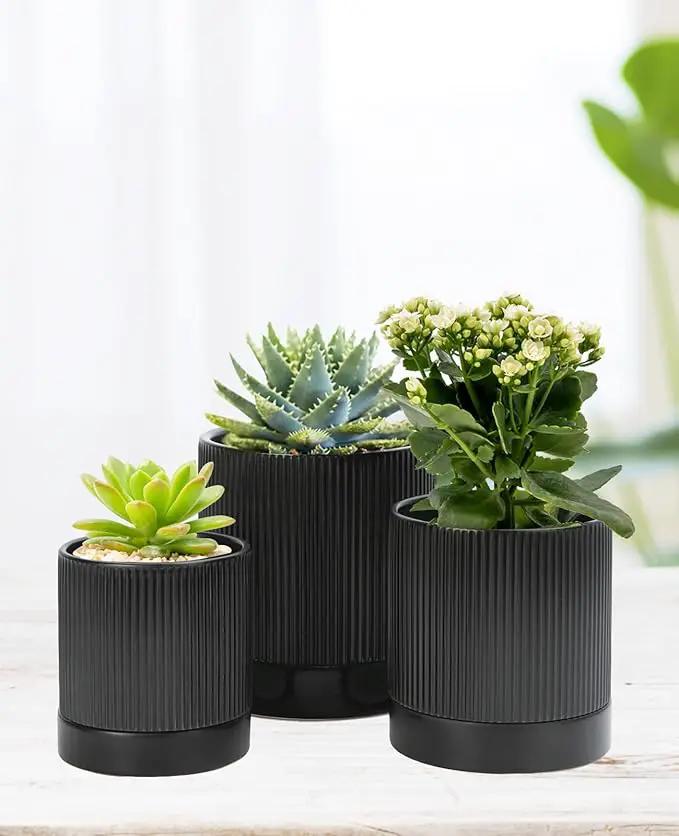 LaDoVita 3 Pack Ceramic Plant Pots 6/5/4 inch, Flowerpot for Indoor Plants with Drainage Holes and Tray, Outdoor Garden Planters, Modern Decorative for Home, Black Vertical Stripes by GreenHaven Gardens