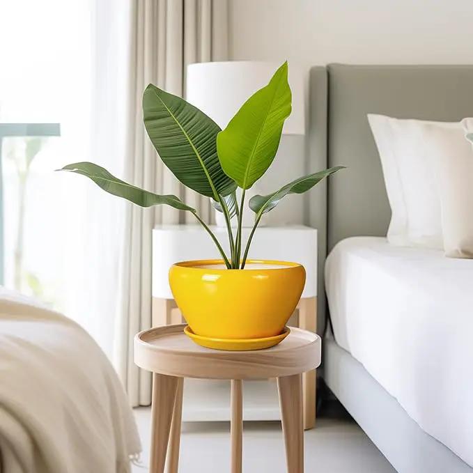 Ceramic Planter 9 Inch - Mid-Century Round Modern Plant Pot Indoor with Drainage Hole and Saucer for Outdoor Plants, Balcony House Garden Patio Home Decor, Yellow by GreenHaven Gardens