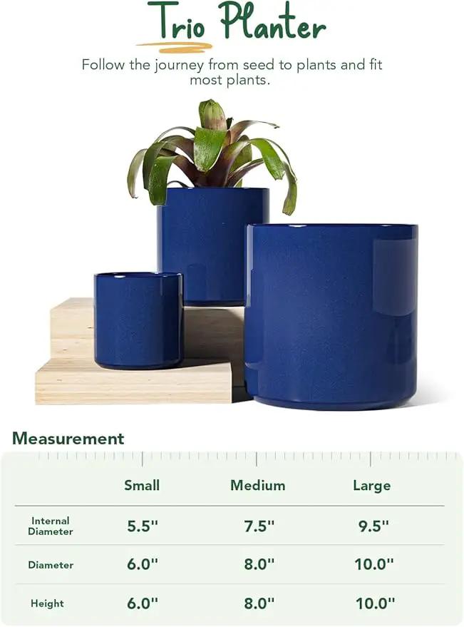 LE TAUCI Large Plant Pots Set, 10/8/6 Inch Ceramic Planters for Indoor Plants, Mid-Century Modern Flower Planter Pots with Drainage Hole and Plug, Cylinder Round Planter Pots, Set of 3, Sapphire Blue by GreenHaven Gardens