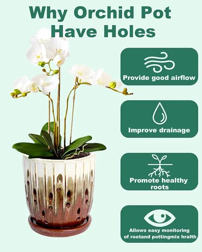 vensovo 6 Inch Ceramic Orchid Pot - Orchid Pot with Holes for Repotting, Ceramic Planter with Saucer for Indoor/Outdoor Plants, Brown by GreenHaven Gardens