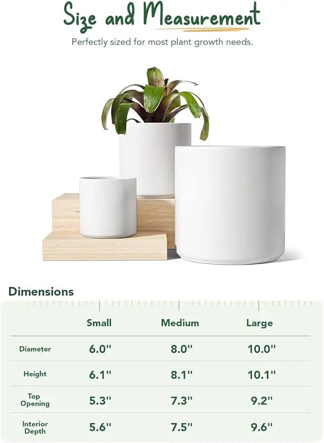 LE TAUCI Ceramic Pots for Plants, 10+8+6 Inch Indoor Plant Pots, Modern Planters for Indoor Plants Home Office, Cylinder Round Planters with Drainage Hole and Plug, Set of 3, White by GreenHaven Gardens