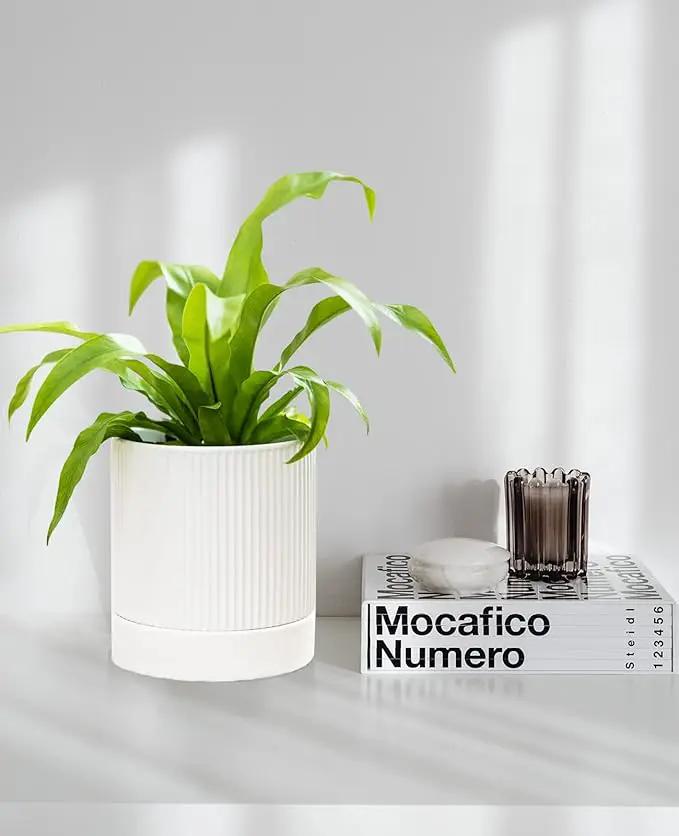 LaDoVita 3 Pack Ceramic Plant Pots 6/5/4 inch, Flowerpot for Indoor Plants with Drainage Holes and Tray, Outdoor Garden Planters, Modern Decorative for Home, White Vertical Stripes by GreenHaven Gardens