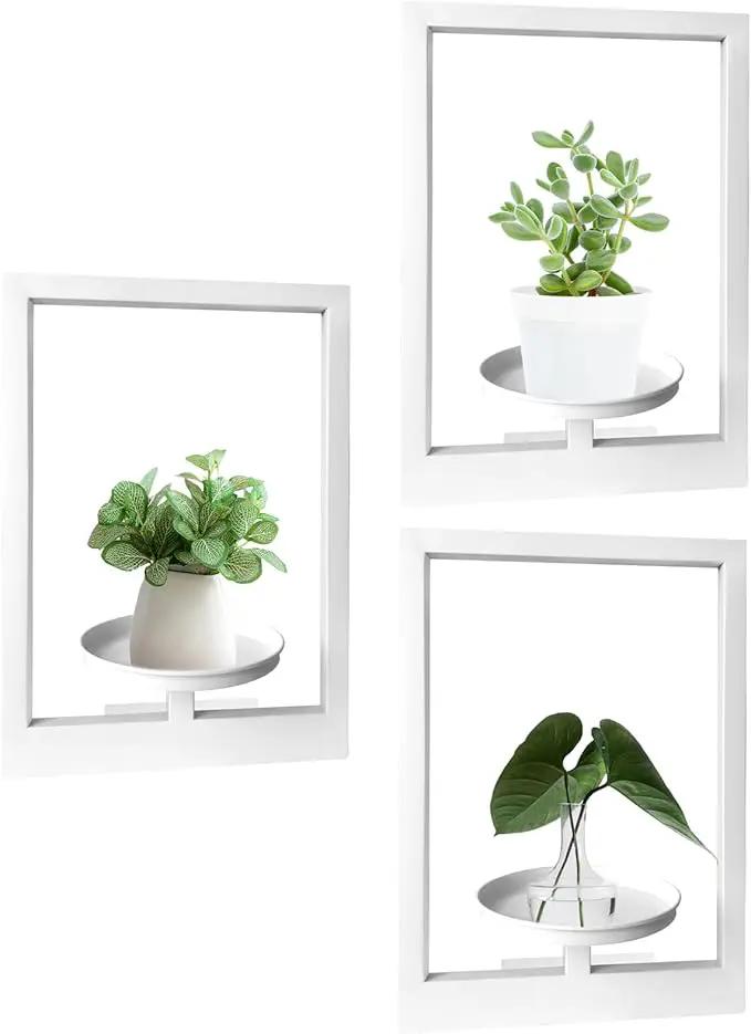 Picture Frame Plant Holder, Wall Mount Plants shelf Indoor Outdoor, Metal Hanging Planters Stand Decor, Window Planter Hanger Shelves, Modern Floating Ornament Rack Art for Home & Garden(White 3pc) by GreenHaven Gardens