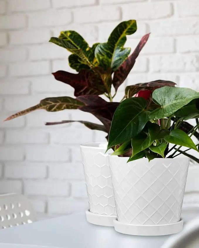 EFISPSS Ceramic Plant Pots, 6 Inch Pots for Indoor Plants, Planters with Drainage Hole and Saucer, Flower Pots Desktop Office Windowsill Decoration Gift Set of 2 - White by GreenHaven Gardens