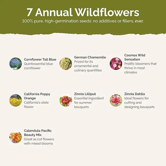 Eden Brothers Field Day Flower Mixed Seeds for Planting, 1 lb, 480,000+ Seeds with Zinnia Lilliput, Calendula Mix | Attracts Pollinators, Plant in Spring or Fall, Zones 3, 4, 5, 6, 7, 8, 9, 10 by GreenHaven Gardens