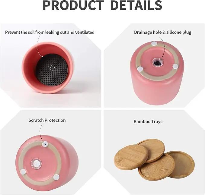 OMAYKEY 4 Inch Ceramic Plant Pot with Saucer, Multicolor Planters Pots with Drainage Hole and Mesh Pads for Succulent, Indoor Flowers, Snake Plants, Cactus, Herbs, Set of 4 (Plant Not Included) by GreenHaven Gardens
