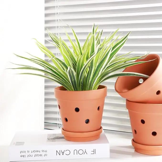 Fcacti 6 Inch Terracotta Orchid Pots with Drainage Holes and Saucers - 6 Pack Small Clay Orchid Planter Pots for Repotting, Plant Flower Pots for Orchid Indoor/Outdoor Promotes Air Circulation by GreenHaven Gardens