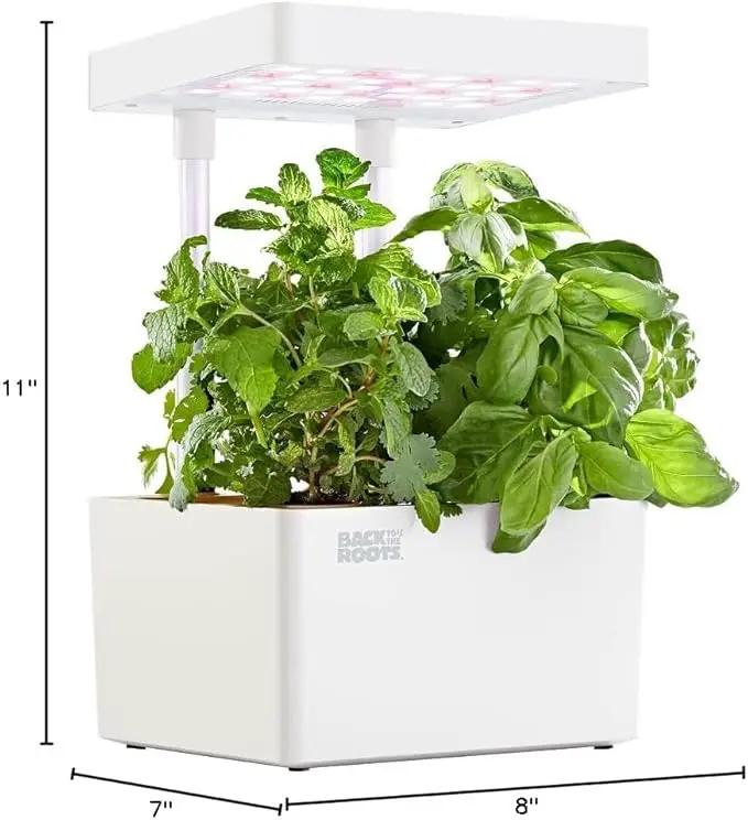 Back to the Roots Hydroponic Grow Kit, Indoor Garden with Light (Matte White), Organic Seeds Included, Gardening Gift, Everything Included by GreenHaven Gardens