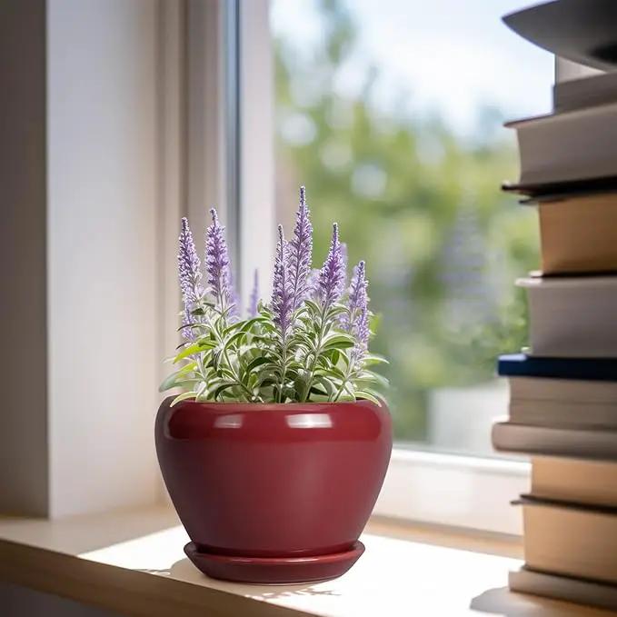 Ceramic Pot for Plants - 6 Inch Plant Pot Indoor with Drainage Hole and Saucer Succulent Outdoor Planter Round Flower Pot for House Patio Decor Red by GreenHaven Gardens