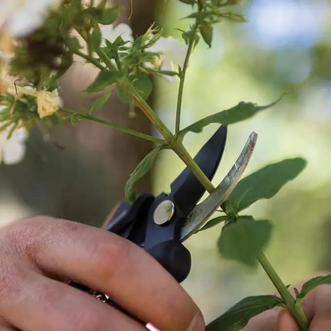 Fiskars Floral Pruning Shears - Plant Cutting Scissors/Garden Clippers For Deadheading and Working with Flowers - Black/Orange by GreenHaven Gardens