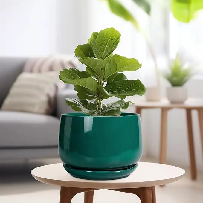 G EPGardening Ceramic Pots for Plants - 9 Inch Ceramic Planter for Indoor Plants, Round Planter with Drainage and Saucer, Modern Flower Pots for Outdoor, House Decor, Garden Gifts, Green by GreenHaven Gardens