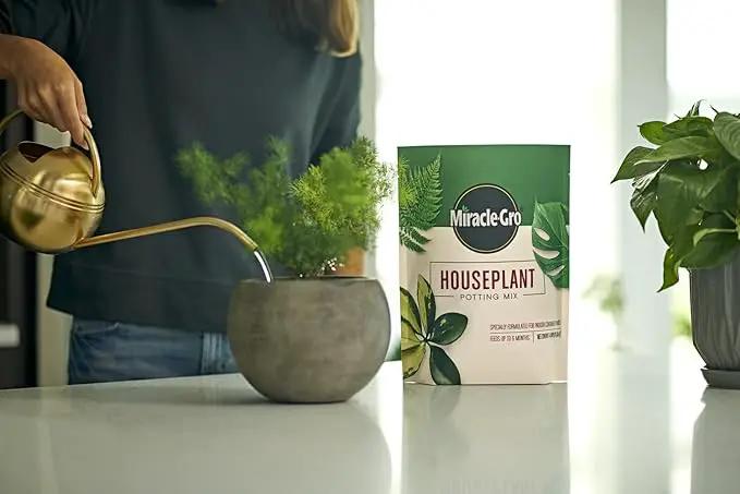 Miracle-Gro Houseplant Potting Mix - Fertilized Soil, Designed to be Less Prone to Gnats, 4 qt. (2-Pack) by GreenHaven Gardens