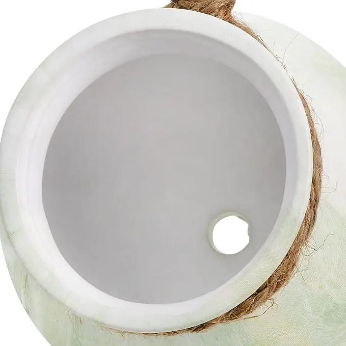 SOUJOY 6 Pack Hanging Succulent Planters, 4'' Mini Ceramic Wall or Ceiling Mount Dangling Plant Pot, Hanging Flower Pot with Jute Rope for Indoor Outdoor Decor, Light Beige by GreenHaven Gardens