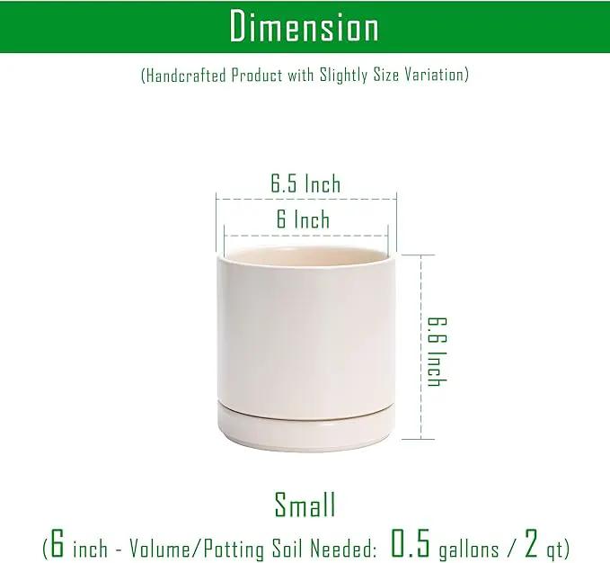 D'vine Dev 6 Inch Ceramic Planter Pot with Drainage Hole and Saucer, Indoor Cylinder Round Planter Pot, Oatmeal, 94-O-C-8 by GreenHaven Gardens