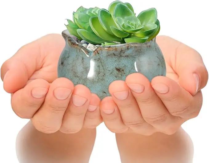 Laerjin Succulent Pots, 4 Inch Ceramic Plant Pots and Drainage Hole with Bamboo Tray, Colorful Flower Planter Pot, Pack of 6, Plants Not Included