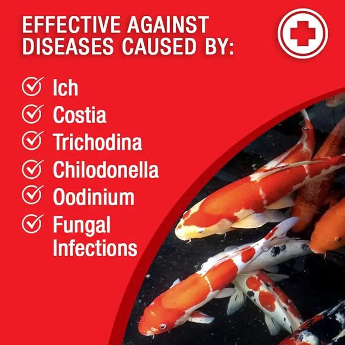 MICROBE-LIFT BSDT16 Broad Spectrum Disease Treatment for Ponds and Outdoor Water Garden, Safe for Live Koi Fish, Goldfish, Plants, and Decor, 16 Ounces by GreenHaven Gardens