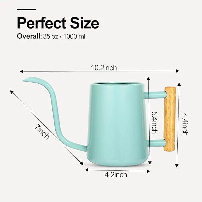 Watering Can Indoor Plants, 35 oz/1000 ml Metal Stainless Steel Watering Can Pot with Long Spout for Indoor House Plants Bonsai Outdoor Garden Flower Decorative (Green by GreenHaven Gardens