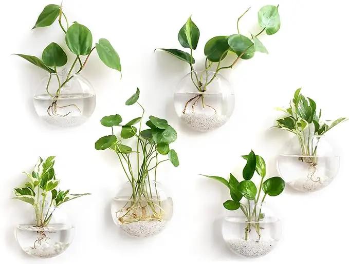Mkono Wall Hanging Glass Terrariums Planter Oblate Flower Vase for Hydroponics Plants, Bathroom, Home Office Living Room Decor, Set of 6 by GreenHaven Gardens