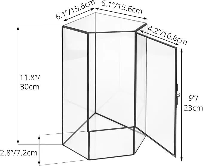 NCYP Wall Corner Geometric Glass Terrarium, Closed Front Opening Door Container Planter for Succulents, Small Plants - Black, Indoor Decor, Tabletop Landscape, 6.1" x 6.1" x 11.8" (Terrarium Only) by GreenHaven Gardens