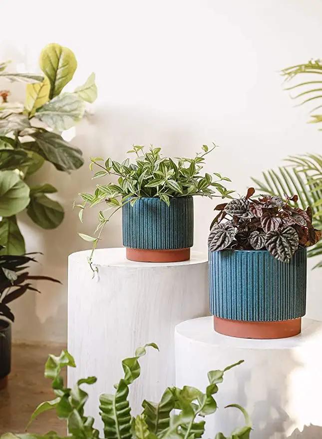 LE TAUCI Ceramic Plant Pots with Drainage Holes, Set of 3, 8+6.7+5.5 Inch Stripe Garden Planter Pots for Outdoor Indoor Plants Flower, Round Succulent Orchid Flower Pot Small to Large Size, Blue by GreenHaven Gardens