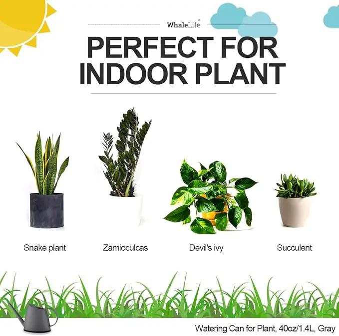 WhaleLife Indoor Watering Can for House Bonsai Plants (1.4L, Gray) by GreenHaven Gardens