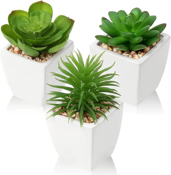 Hollyone Succulents Plants Artificial 3Pcs Small Fake Succulents in Pots Faux Plastic Potted Plants with White Ceramic Pot for Home Decor Classroom Office Bathroom Shelf Indoor & Outdoor Decorations by GreenHaven Gardens