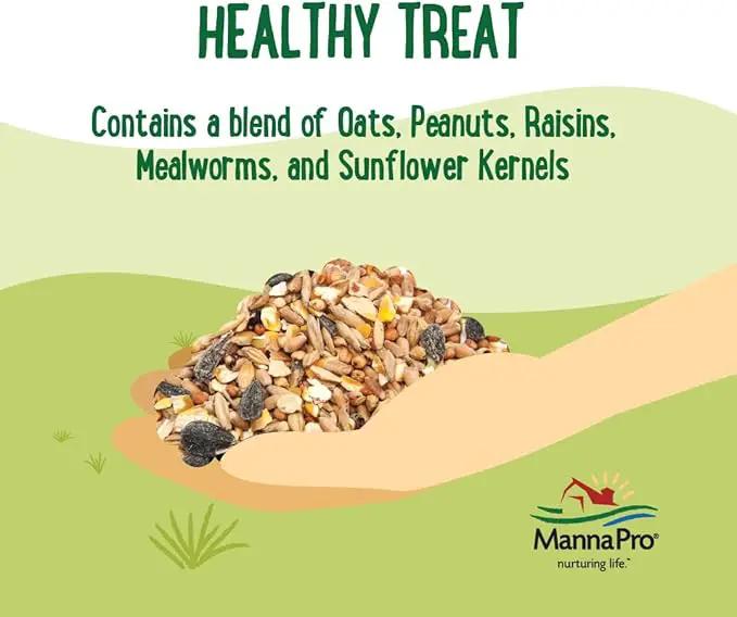 Manna Pro Farmhouse Favorites Oat & Mealworm Mix Poultry Treat – Natural Protein Source – Encouraging Poultry Treat – Mix of Oats, Peanuts, Raisins, Mealworms, Sunflower Kernels – 2lbs by GreenHaven Gardens