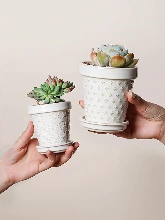 LE TAUCI Ceramic Succulent Pots, 4 Inch Small Plant Pot for Indoor Plant Cactus, Embossed Flower Pots with Drainage Hole & Saucer - Set of 4, Arctic White by GreenHaven Gardens
