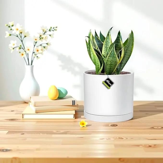 Aveyas 8 inch Ceramic Plant Pot with Drainage Hole and Saucer - Suitable for Indoor and Outdoor Use, Modern Planters for House Garden Flower Tree Snake Monstera Plants (8", Matte White) by GreenHaven Gardens