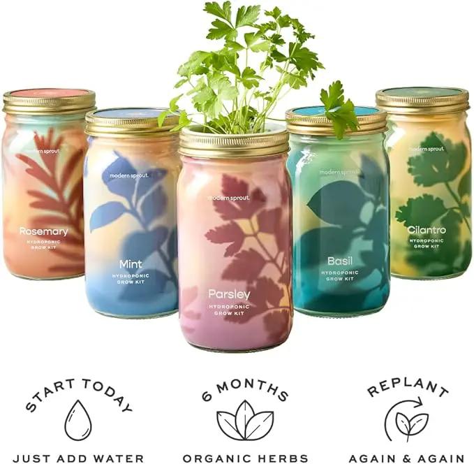 Modern Sprout Mason Garden Jar - Self-Watering Hydroponics Growing System Kit with Organic Herb Seeds - Jar Planter for Indoor Herb Garden - Seed Starter Kit - Home Decor & Gifting - Basil+Mint by GreenHaven Gardens