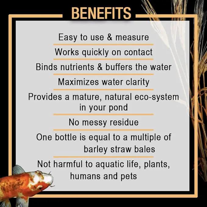 MICROBE-LIFT MLCBSE250 Concentrated Barley Straw Extract Conditioner for Ponds and Outdoor Water Garden, Safe for Live Koi Fish, Plants, and Decorations, 8 Ounces by GreenHaven Gardens
