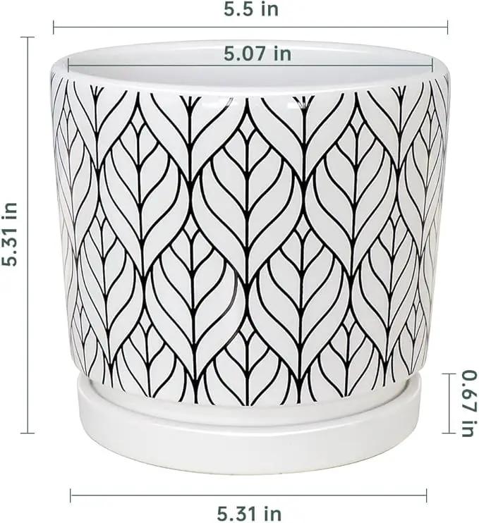 Ton Sin Plant Pots,5.5 Inch White Pots for Indoor Plants with Drainage Holes,Cylinder Flower Pot Ceramic Planters with Saucer,Cactus Succulent Outdoor Garden Pots Set of 4 by GreenHaven Gardens