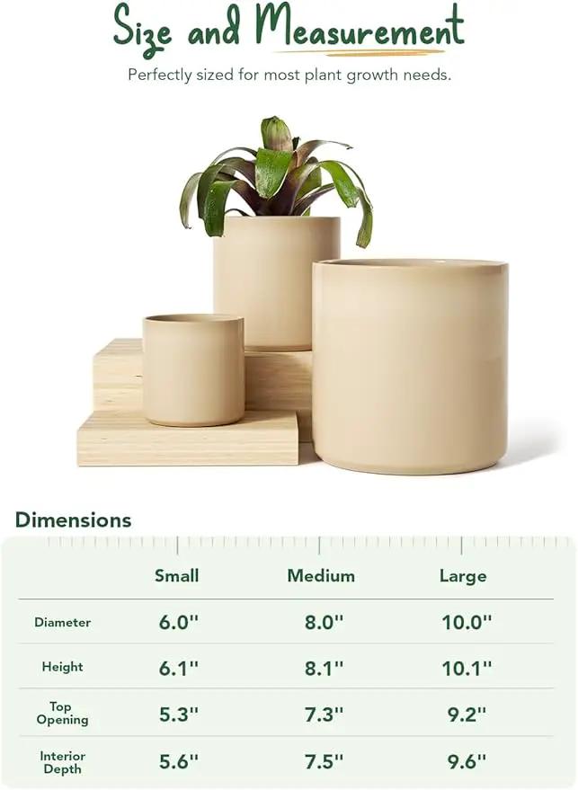 LE TAUCI Ceramic Plant Pots Indoor, 10+8+6 Inch Planters for Indoor Plants, Mid-Century Modern Flower Pots with Drainage Hole and Plug, Cylinder Round Planters, Set of 3, Cloud Cream by GreenHaven Gardens