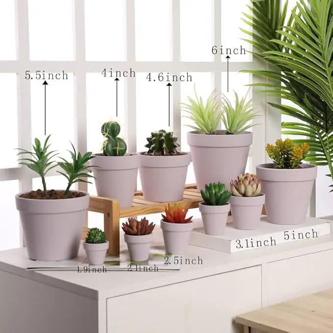 Yishang 36 pcs Small Mini Pink Clay Pots, 2.5'' Terracotta Pot Clay Ceramic Pottery Planter,Cactus Flower Terra Cotta Pots,Succulents Nursery Pots,with Drainage Hole,Great for Crafts,Wedding Favor by GreenHaven Gardens