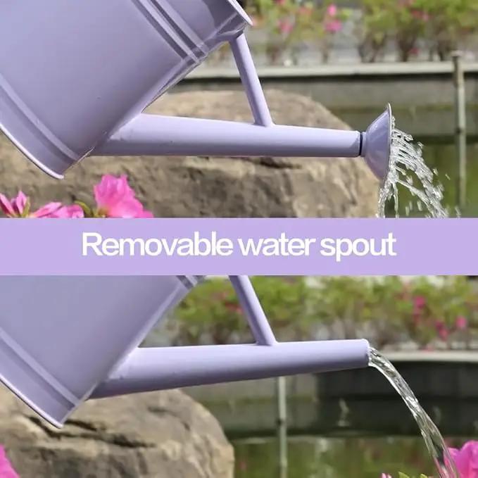 Metal Watering Can, One Gallon Watering Cans Stainless Steel for Outdoor Indoor Garden Plants Watering (Stainless Steel Handle Purple) by GreenHaven Gardens