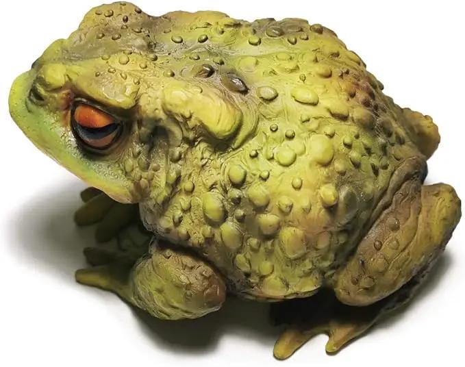Sunthus Frog Toad Sculptures Garden Statues Yard Art Resin Decorations Outdoor Garden Decor by GreenHaven Gardens