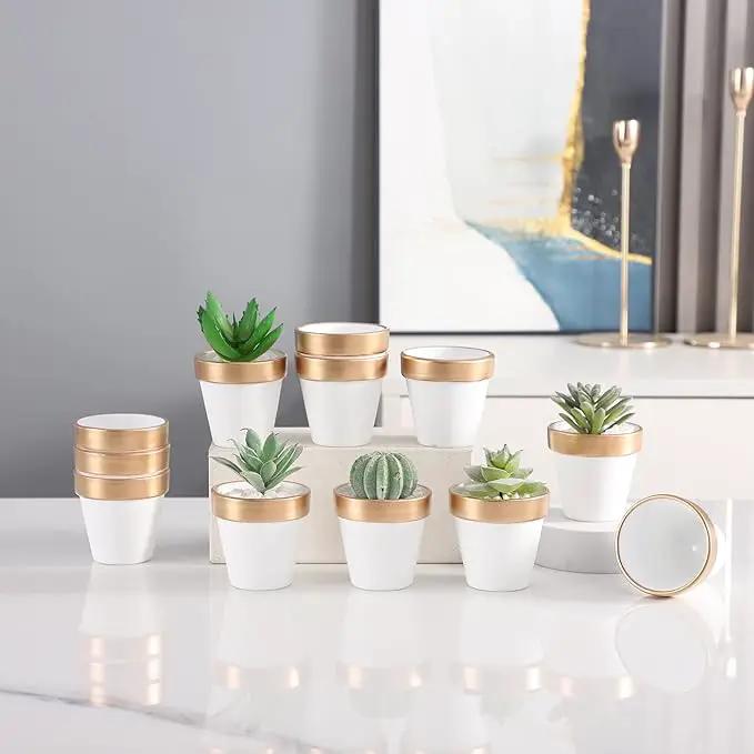 Yishang 36 pcs Small Mini White&Gold Clay Pots, 2.5'' Terracotta Pot Clay Ceramic Pottery Planter,Cactus Flower Terra Cotta Pots,Succulents Nursery Pots,with Drainage Hole, for Crafts,Wedding Favor by GreenHaven Gardens
