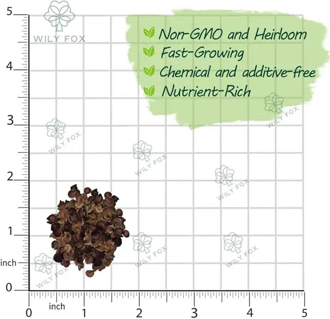Premium Rare Hollyhock Seeds – 400+ Queeny Dwarf Hollyhock Flower Seeds – Non-GMO, Heirloom Perennial – Showy Blooms for Outdoor Planting (Queeny Hollyhock) by GreenHaven Gardens