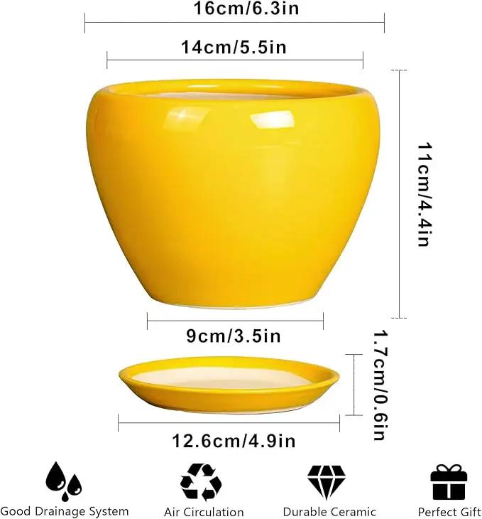 Ceramic Pot for Plants - 6 Inch Plant Pot Glaze Modern Decorative Round Planter with Drainage Hole and Saucer for Home Patio Room Office House Decor, Yellow by GreenHaven Gardens