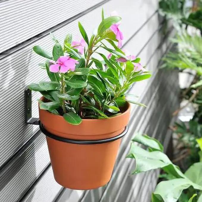 6 Pack 6in Flower Pot Holder Ring Wall Mounted Metal Planter Hooks Hangers Wall Bracket Wall Planter Hook (6, 6") by GreenHaven Gardens