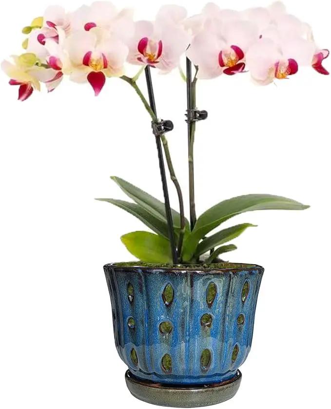 6 inch Round Ceramic Orchid Pot with Holes Orchid Planter (Dark Blue) by GreenHaven Gardens