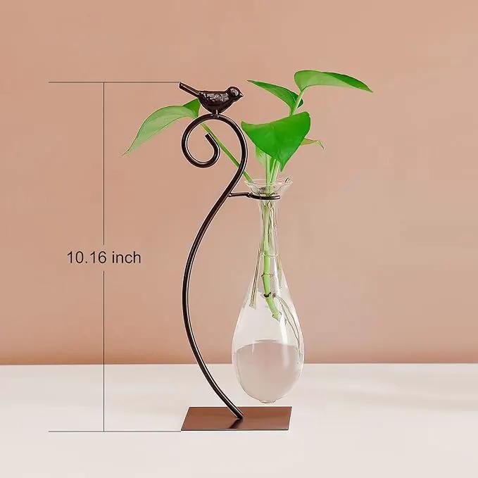 Marbrasse Desktop Glass Planter Hydroponics Vase,Planter Bulb Vase with Holder for Home Decoration,Modern Creative Bird Plant Terrarium Stand, Scindapsus Container (Water Drop Vase) by GreenHaven Gardens